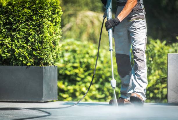 Best House Exterior Washing  in Winterville, NC