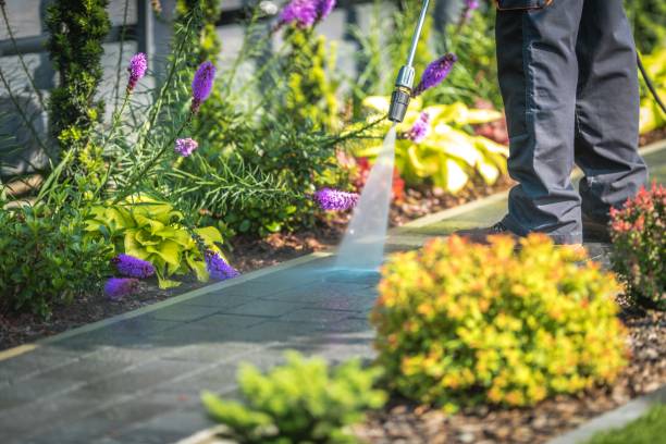 Best Winterizing Services  in Winterville, NC